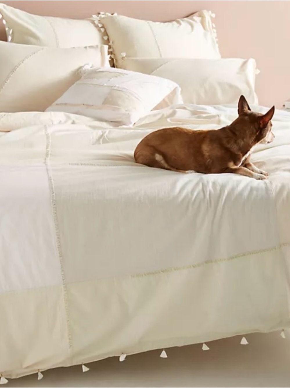Anthropologie Amelie Duvet Cover King